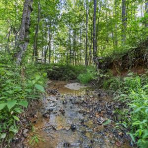 Photo #18 of Gully Tavern Rd, Rice, VA 9.0 acres