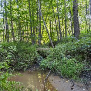 Photo #19 of Gully Tavern Rd, Rice, VA 9.0 acres