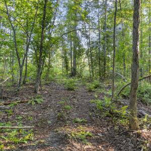 Photo #20 of Gully Tavern Rd, Rice, VA 9.0 acres