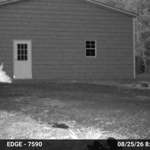 Photo #26 of Gully Tavern Rd, Rice, VA 9.0 acres
