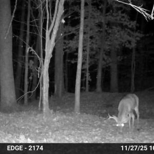 Photo #28 of Gully Tavern Rd, Rice, VA 9.0 acres