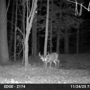 Photo #29 of Gully Tavern Rd, Rice, VA 9.0 acres