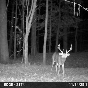 Photo #30 of Gully Tavern Rd, Rice, VA 9.0 acres