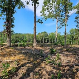 Photo #10 of Selma Rd, Amelia, VA 5.0 acres