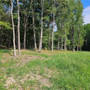 Photo #12 of Selma Rd, Amelia, VA 5.0 acres