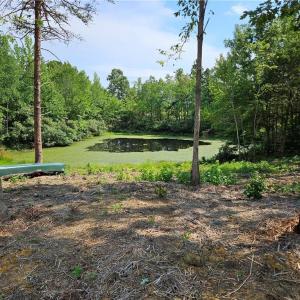 Photo #8 of Selma Rd, Amelia, VA 5.0 acres
