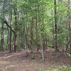Photo #2 of Skipwtih Rd, Boydton, VA 1.0 acres