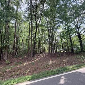Photo #4 of Skipwtih Rd, Boydton, VA 1.0 acres