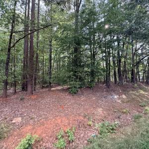 Photo #6 of Skipwtih Rd, Boydton, VA 1.0 acres