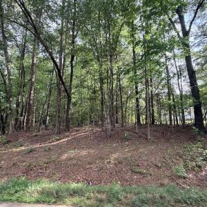 Photo #9 of Skipwtih Rd, Boydton, VA 1.0 acres
