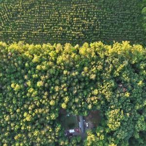 Photo #10 of Barton Rd, Green Bay, VA 5.4 acres