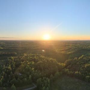 Photo #11 of Barton Rd, Green Bay, VA 5.4 acres