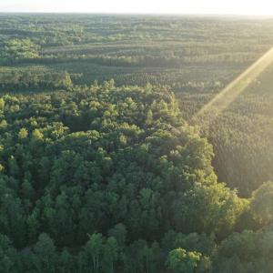 Photo #13 of Barton Rd, Green Bay, VA 5.4 acres