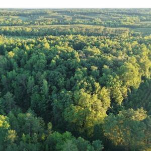 Photo #14 of Barton Rd, Green Bay, VA 5.4 acres