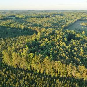 Photo #16 of Barton Rd, Green Bay, VA 5.4 acres