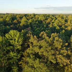 Photo #17 of Barton Rd, Green Bay, VA 5.4 acres