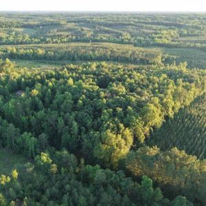 Photo #2 of Barton Rd, Green Bay, VA 5.4 acres