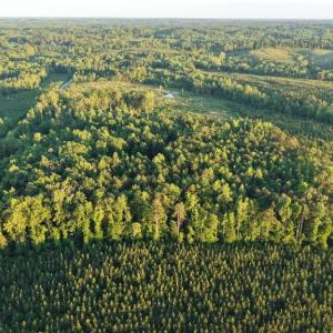 Photo #20 of Barton Rd, Green Bay, VA 5.4 acres