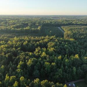 Photo #21 of Barton Rd, Green Bay, VA 5.4 acres