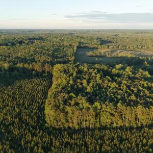 Photo #23 of Barton Rd, Green Bay, VA 5.4 acres