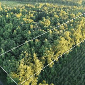 Photo #26 of Barton Rd, Green Bay, VA 5.4 acres