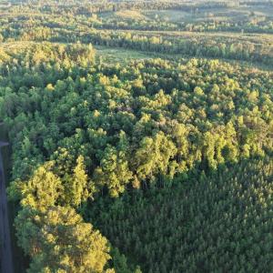 Photo #28 of Barton Rd, Green Bay, VA 5.4 acres