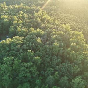Photo #29 of Barton Rd, Green Bay, VA 5.4 acres