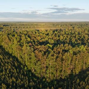 Photo #3 of Barton Rd, Green Bay, VA 5.4 acres