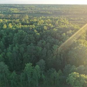 Photo #30 of Barton Rd, Green Bay, VA 5.4 acres