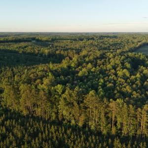 Photo #31 of Barton Rd, Green Bay, VA 5.4 acres