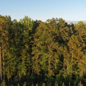 Photo #32 of Barton Rd, Green Bay, VA 5.4 acres