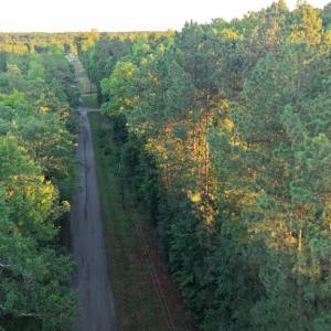 Photo #33 of Barton Rd, Green Bay, VA 5.4 acres