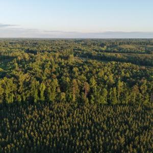 Photo #34 of Barton Rd, Green Bay, VA 5.4 acres