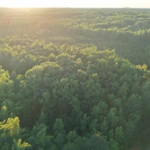 Photo #35 of Barton Rd, Green Bay, VA 5.4 acres