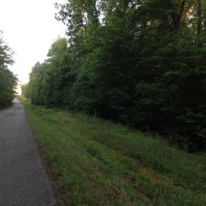 Photo #39 of Barton Rd, Green Bay, VA 5.4 acres