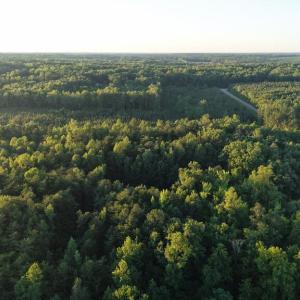 Photo #4 of Barton Rd, Green Bay, VA 5.4 acres