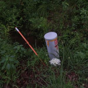 Photo #42 of Barton Rd, Green Bay, VA 5.4 acres