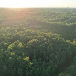 Photo #5 of Barton Rd, Green Bay, VA 5.4 acres