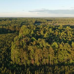 Photo #6 of Barton Rd, Green Bay, VA 5.4 acres