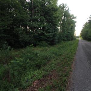 Photo #7 of Barton Rd, Green Bay, VA 5.4 acres