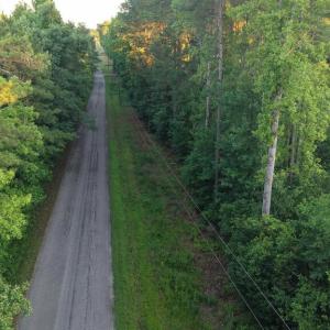 Photo #8 of Barton Rd, Green Bay, VA 5.4 acres