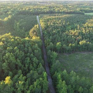 Photo #9 of Barton Rd, Green Bay, VA 5.4 acres