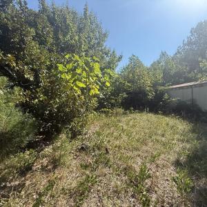Photo #10 of 2362 Dixie Hill Rd, Buckingham, VA 6.1 acres