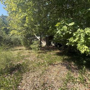 Photo #11 of 2362 Dixie Hill Rd, Buckingham, VA 6.1 acres
