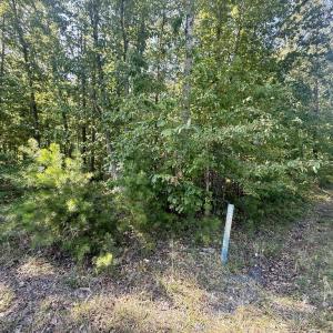 Photo #2 of 2362 Dixie Hill Rd, Buckingham, VA 6.1 acres