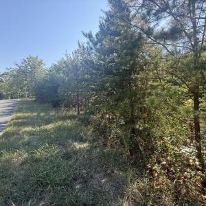 Photo #3 of 2362 Dixie Hill Rd, Buckingham, VA 6.1 acres