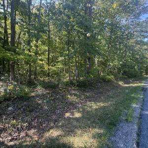 Photo #5 of 2362 Dixie Hill Rd, Buckingham, VA 6.1 acres
