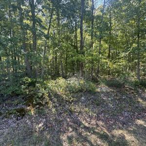 Photo #6 of 2362 Dixie Hill Rd, Buckingham, VA 6.1 acres
