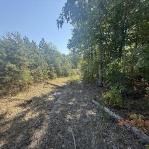 Photo #7 of 2362 Dixie Hill Rd, Buckingham, VA 6.1 acres