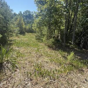 Photo #9 of 2362 Dixie Hill Rd, Buckingham, VA 6.1 acres